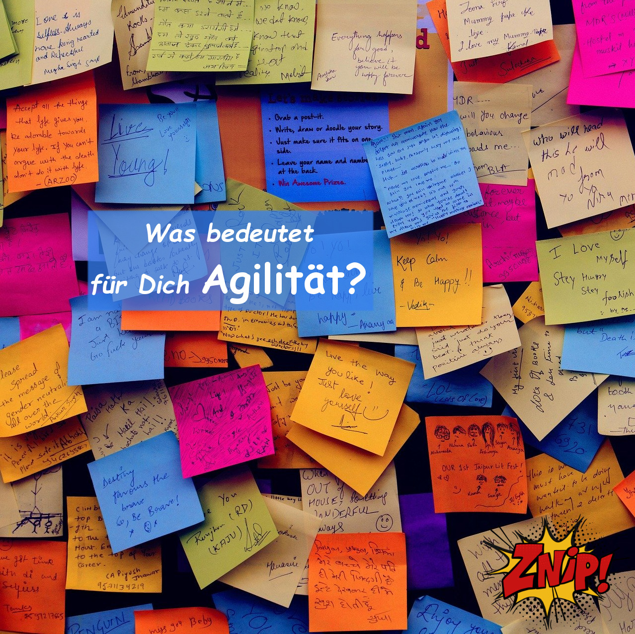 Znipcast - für gute Zusammenarbeit | Agilität, Scrum, KanBan, Psychologie, Teamentwicklung und NLP | Podcast der Znip Academy