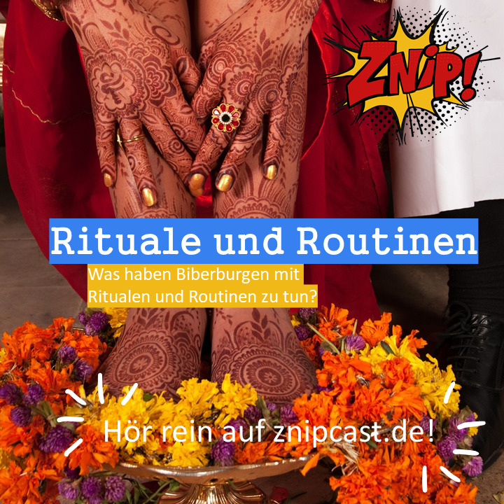 Znipcast – für gute Zusammenarbeit | Agile, Scrum, KanBan, Psychologie, Teamentwicklung und NLP | Podcast der Znip Academy