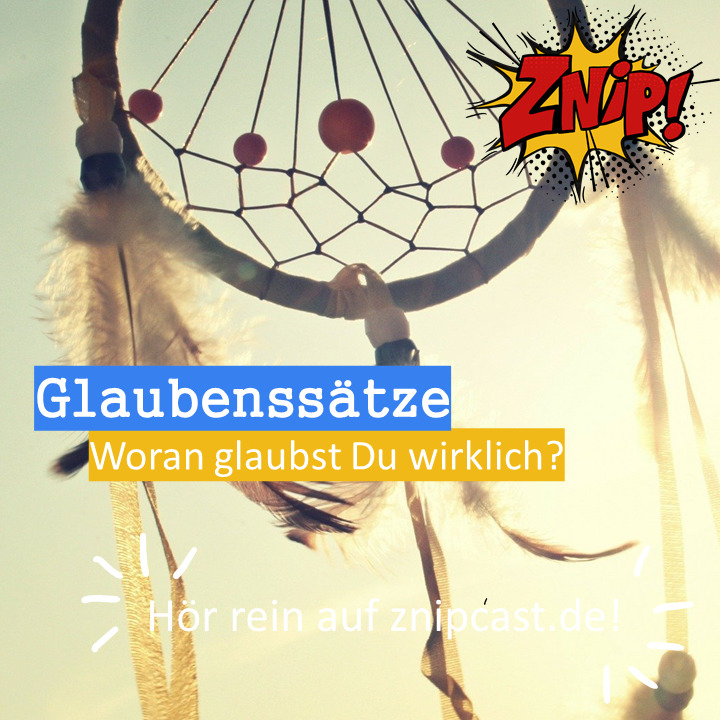 Znipcast – für gute Zusammenarbeit | Agile, Scrum, KanBan, Psychologie, Teamentwicklung und NLP | Podcast der Znip Academy