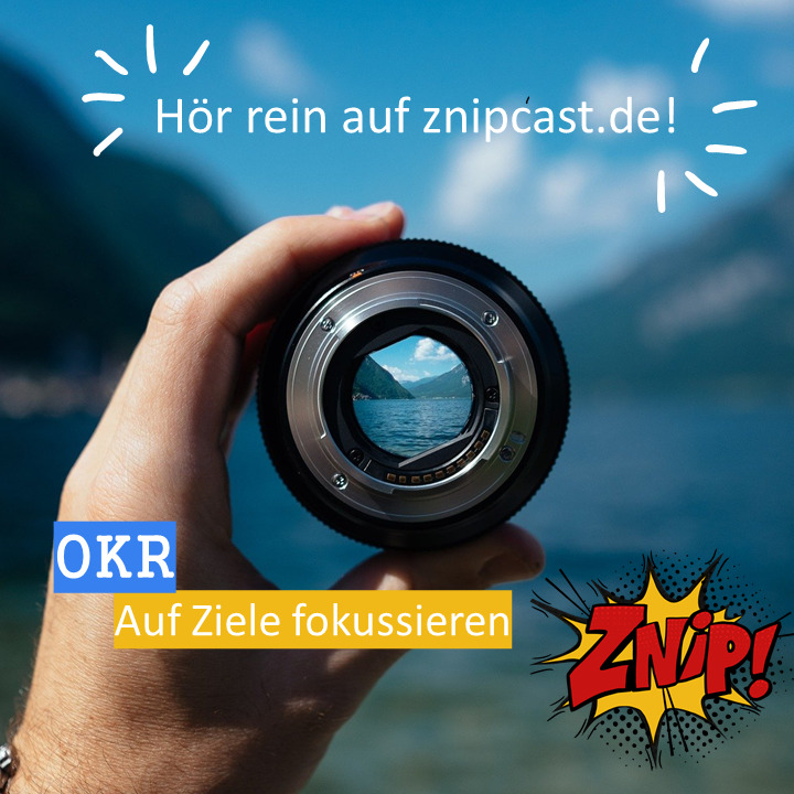 Znipcast – für gute Zusammenarbeit | Agile, Scrum, KanBan, Psychologie, Teamentwicklung und NLP | Podcast der Znip Academy