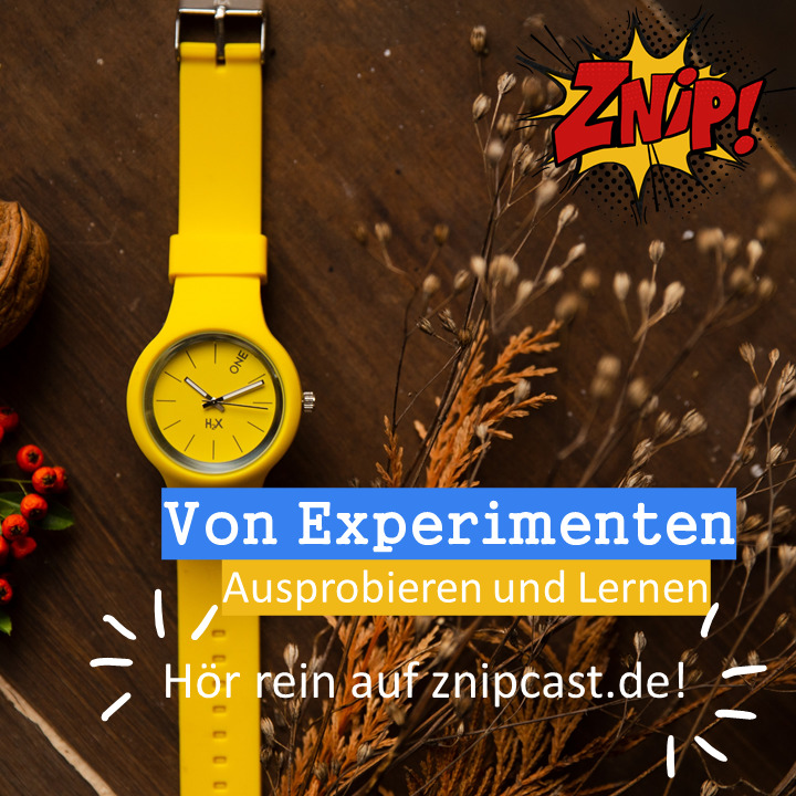 Znipcast - für gute Zusammenarbeit | Agilität, Scrum, KanBan, Psychologie, Teamentwicklung und NLP | Podcast der Znip Academy