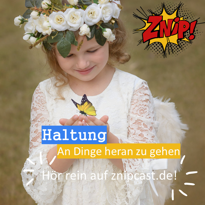 Znipcast – für gute Zusammenarbeit | Agile, Scrum, KanBan, Psychologie, Teamentwicklung und NLP | Podcast der Znip Academy
