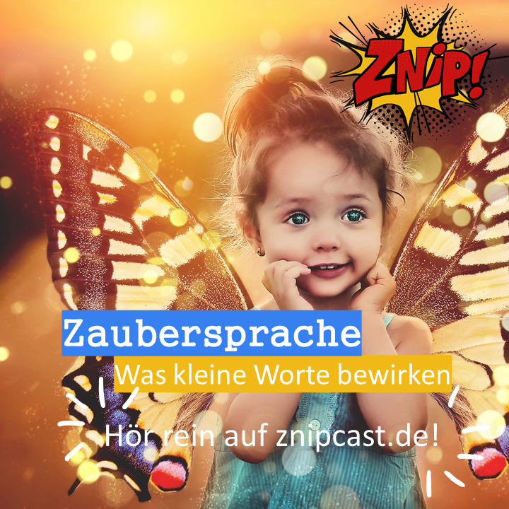 Znipcast - für gute Zusammenarbeit | Agilität, Scrum, KanBan, Psychologie, Teamentwicklung und NLP | Podcast der Znip Academy