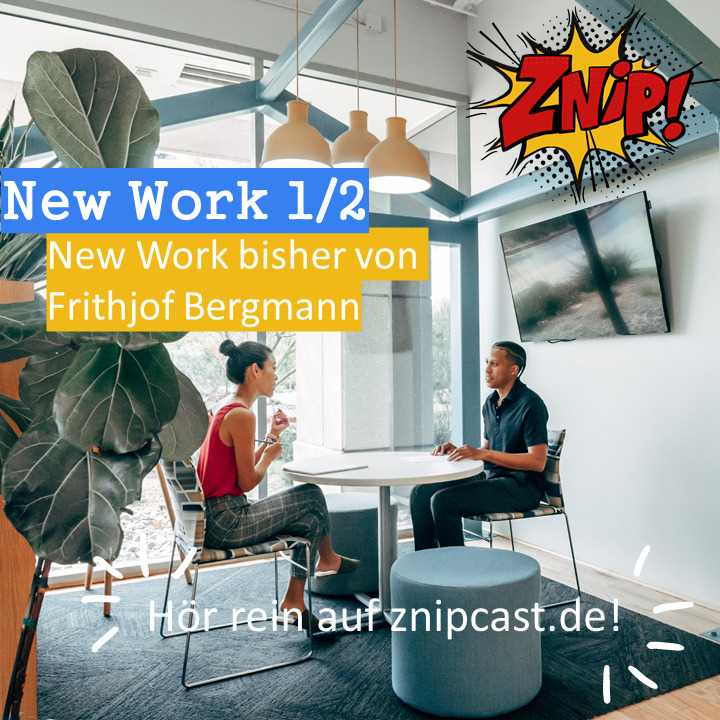 Znipcast – für gute Zusammenarbeit | Agile, Scrum, KanBan, Psychologie, Teamentwicklung und NLP | Podcast der Znip Academy