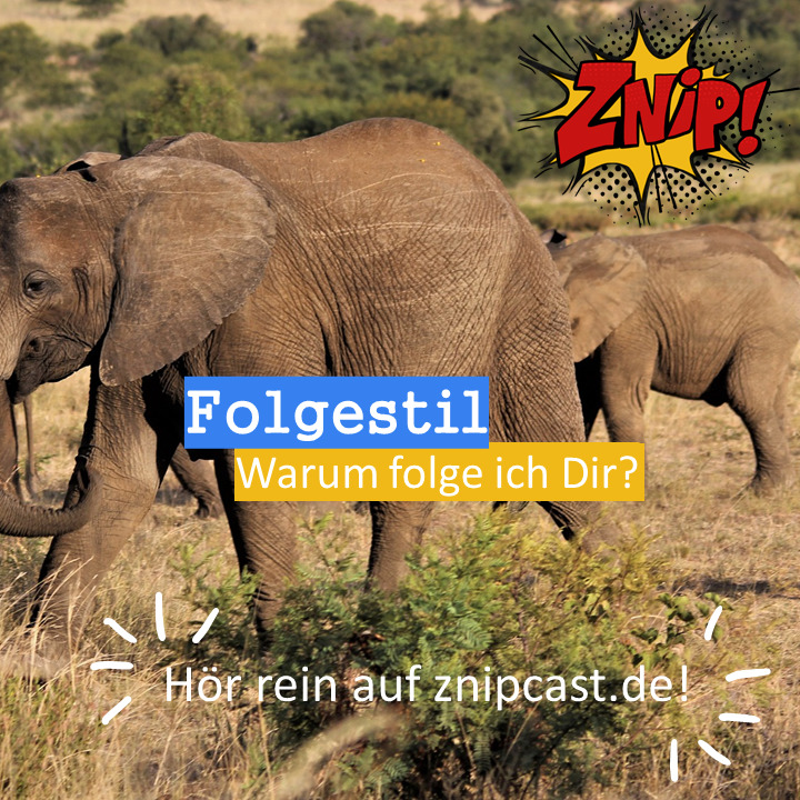 Znipcast - für gute Zusammenarbeit | Agilität, Scrum, KanBan, Psychologie, Teamentwicklung und NLP | Podcast der Znip Academy