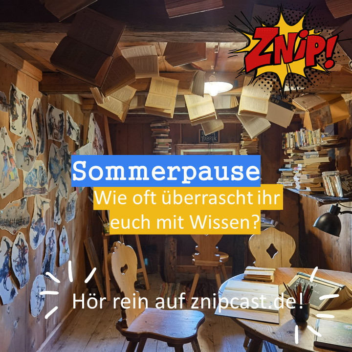Znipcast - für gute Zusammenarbeit | Agilität, Scrum, KanBan, Psychologie, Teamentwicklung und NLP | Podcast der Znip Academy