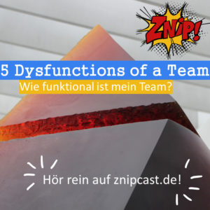 5 Dysfunctions of a Team - Wie funktional ist mein Team?