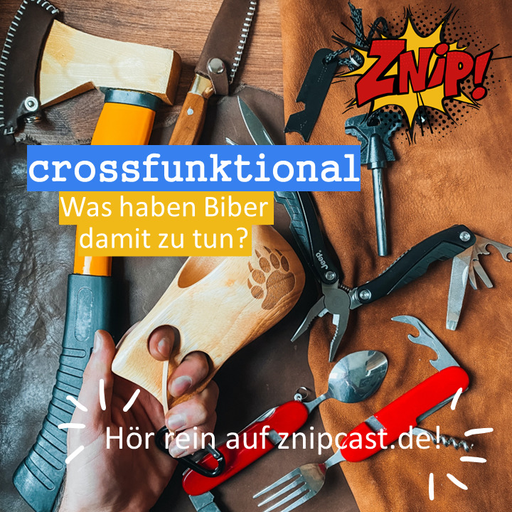 Znipcast - für gute Zusammenarbeit | Agilität, Scrum, KanBan, Psychologie, Teamentwicklung und NLP | Podcast der Znip Academy