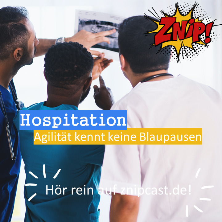 Znipcast - für gute Zusammenarbeit | Agilität, Scrum, KanBan, Psychologie, Teamentwicklung und NLP | Podcast der Znip Academy