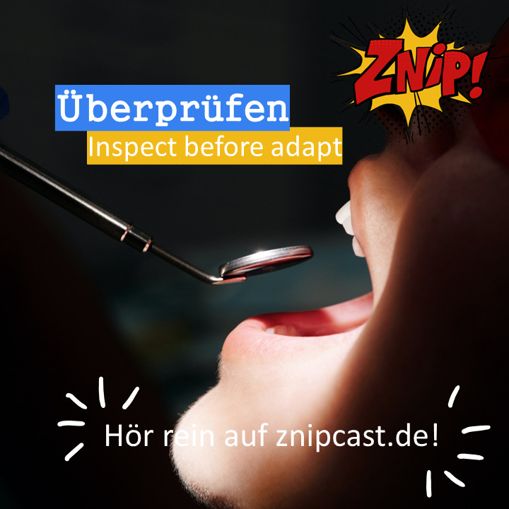 Znipcast - für gute Zusammenarbeit | Agilität, Scrum, KanBan, Psychologie, Teamentwicklung und NLP | Podcast der Znip Academy