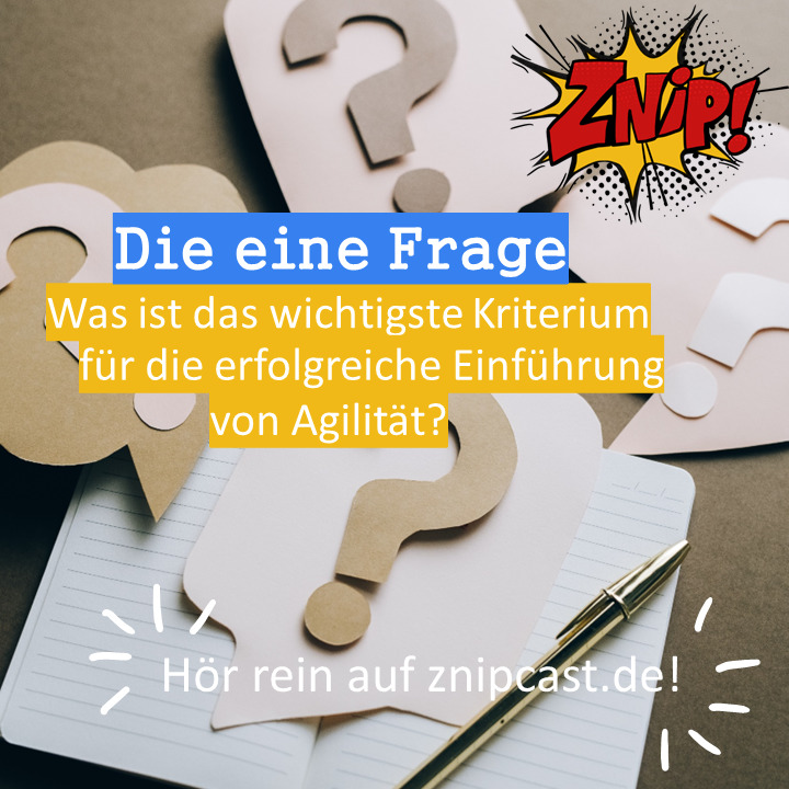 Znipcast - für gute Zusammenarbeit | Agilität, Scrum, KanBan, Psychologie, Teamentwicklung und NLP | Podcast der Znip Academy