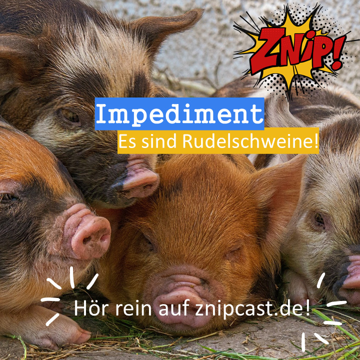 Znipcast – für gute Zusammenarbeit | Agile, Scrum, KanBan, Psychologie, Teamentwicklung und NLP | Podcast der Znip Academy
