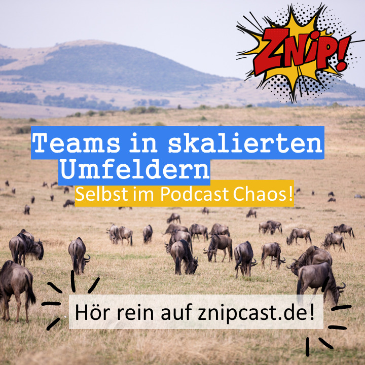 145 Teams in skalierten Umfeldern 145 Teams in skalierten Umfeldern
